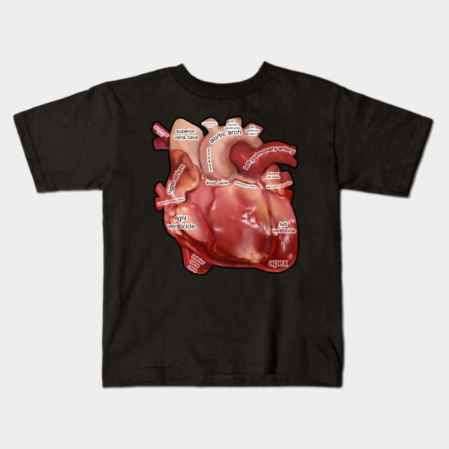 Anatomy of the  Human Heart Kids T-Shirt by KO-of-the-self